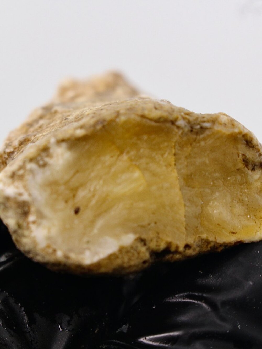 Virgin Valley Opal Petrified Wood Log Limb Cast Raw Rough Specimen Nevada 25.7g